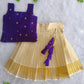 (ETTS022)Elegant Purple and Cream Striped Ethnic Lehenga Set